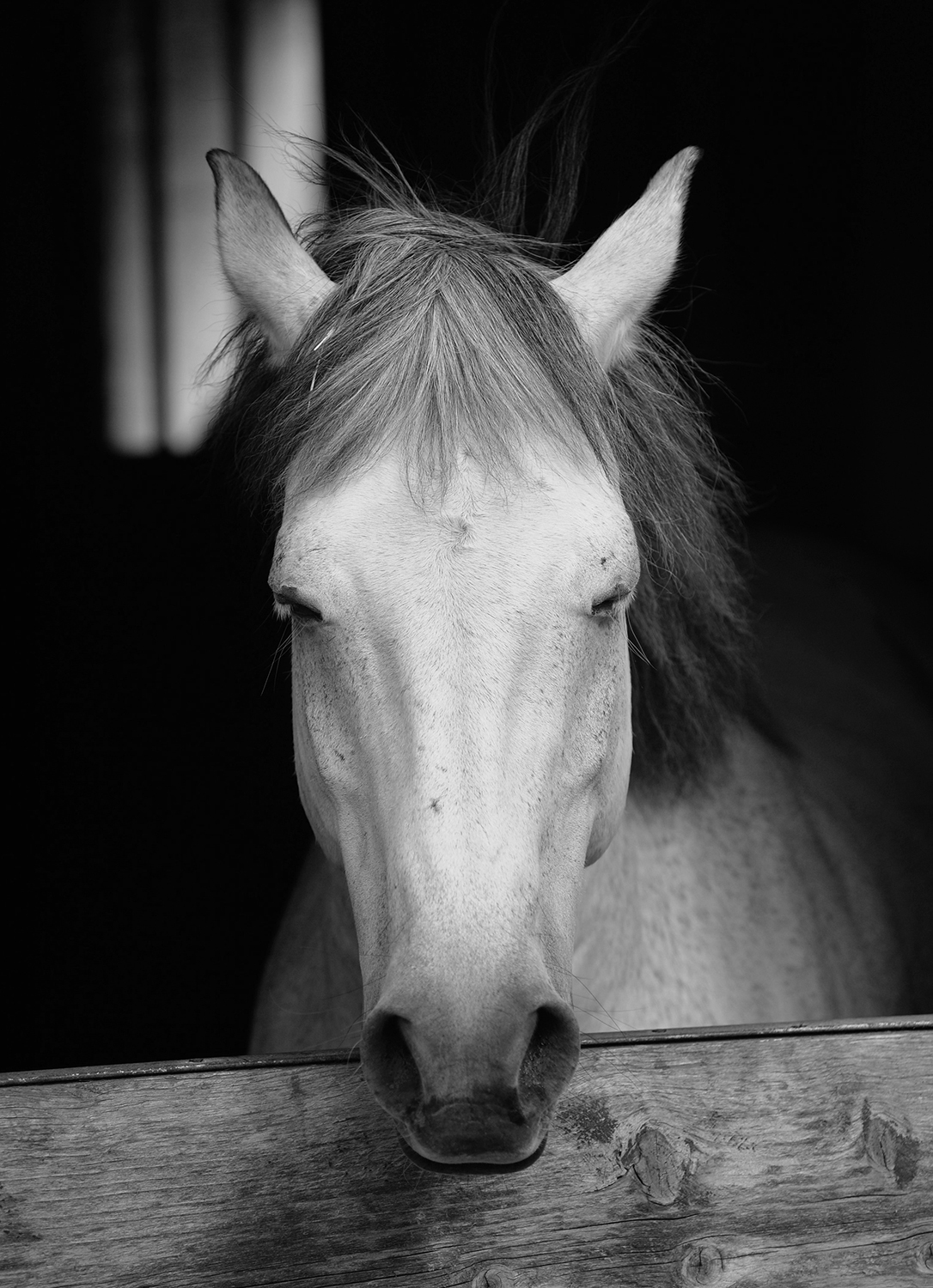 ND4_3247_SW