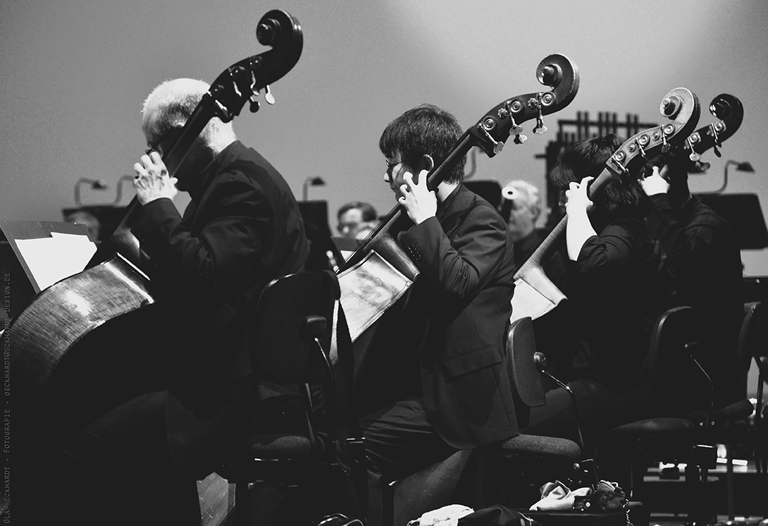 Lower Rhine Symphony Orchestra 02